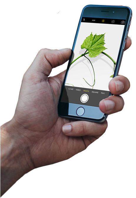 Pinterest Updates Its Image Search - Concrete (461x724), Png Download
