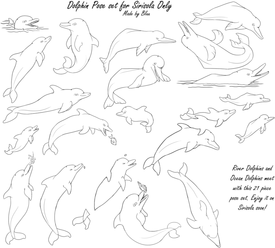 Dolphin Pose Set For Sirisola Wip By - Group Of Dolphins Drawing (945x845), Png Download