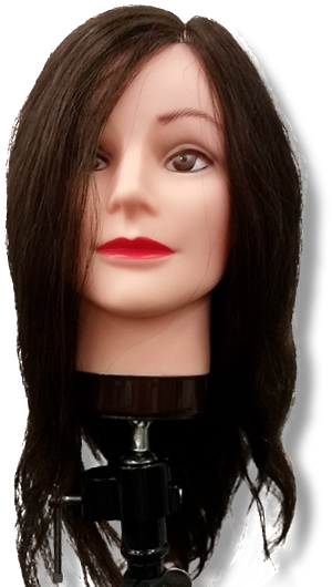 Annabelle Long Hair Mannequin - Hair (556x556), Png Download
