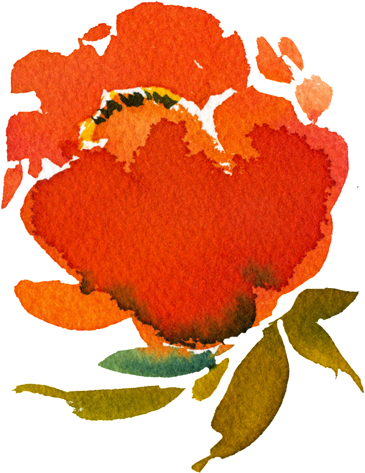 Hand Painted Orange Red Rendering Flower Png Transparent - Orange (1024x1024), Png Download