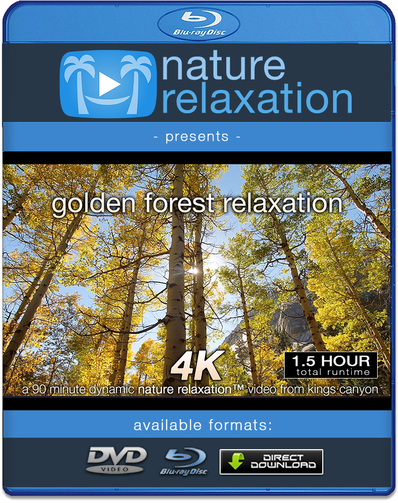 4k Resolution (1000x1000), Png Download