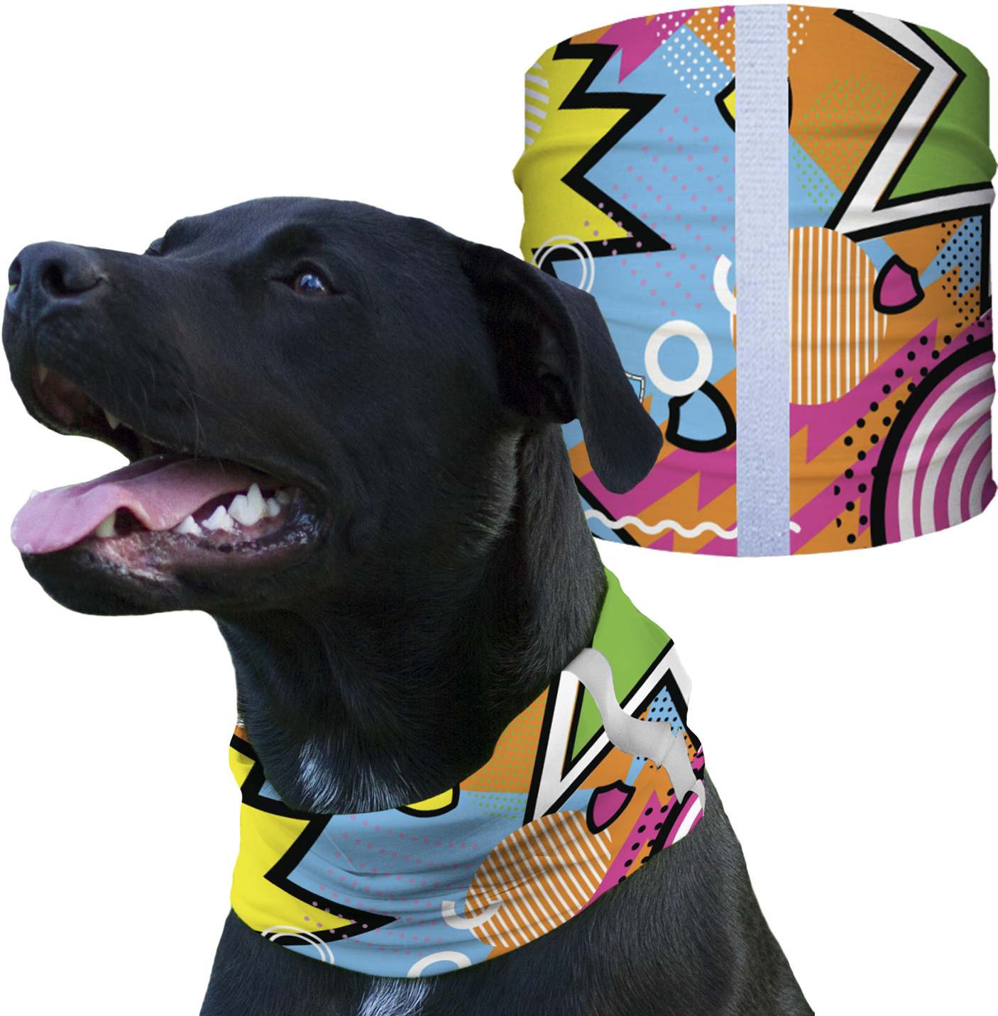 Home - Dog Confederate Flag Shirt (1431x1431), Png Download