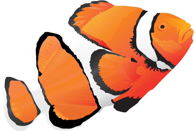 Animal, Vector, Vector Pack - Peces De Agua Salada Png (780x532), Png Download