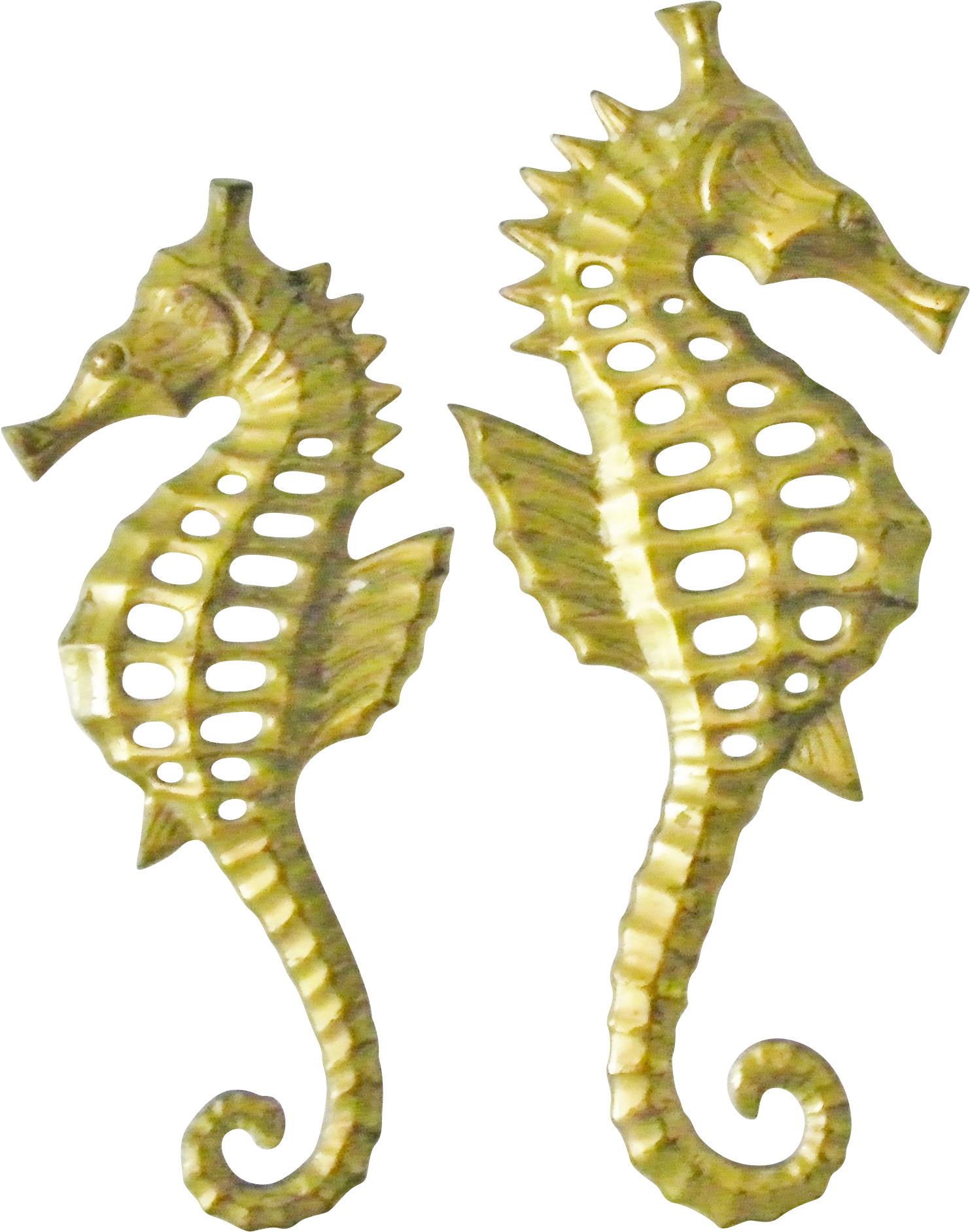 Seahorse (1882x1882), Png Download