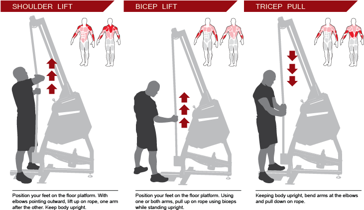 Respiratory System And Increase The Size And Strength - Poster (800x500), Png Download