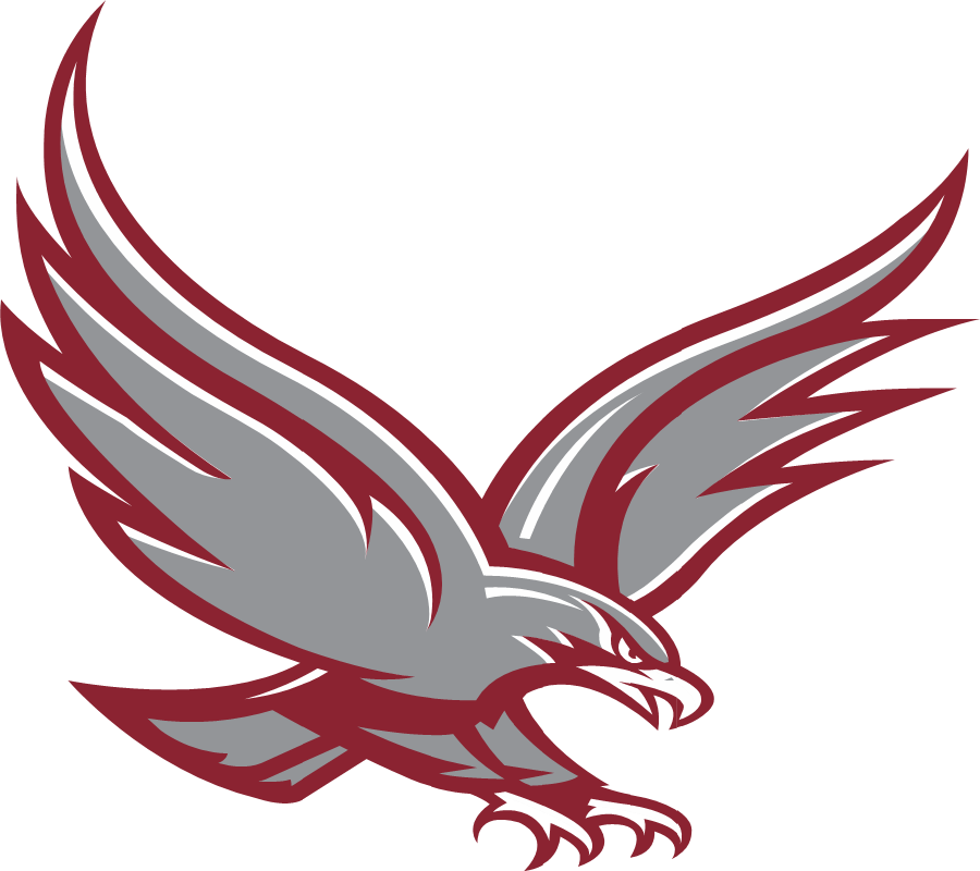 Albertus Magnus Home Page Png High School Falcon Logo - Albertus Magnus High School Logo (900x800), Png Download