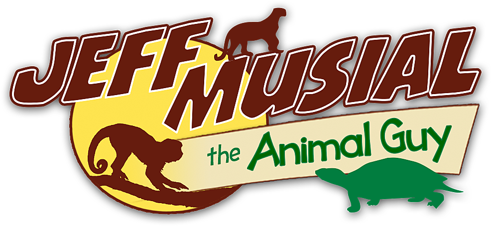 Puma (1092x633), Png Download