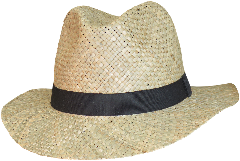 Straw Hat Png Png Sun Hat Transparent Sun Hat Png Images - Hat (960x678), Png Download