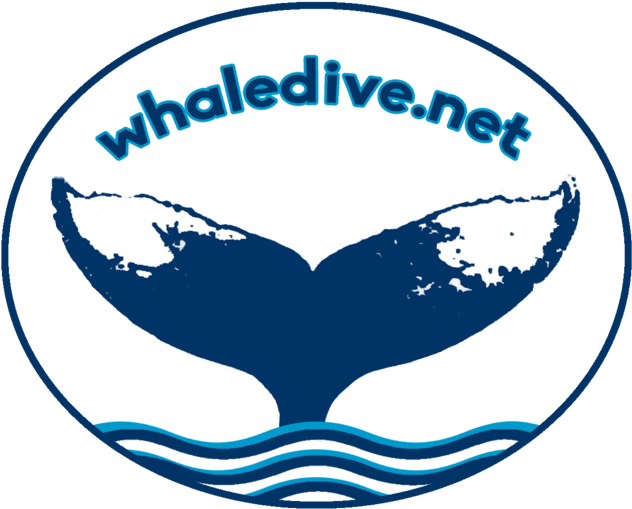 Call Now (640x519), Png Download