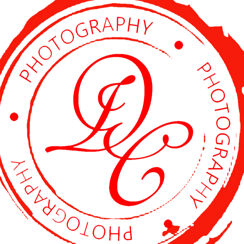 Campbell Brand Photography - Vvs Sardar Patel High School (800x800), Png Download