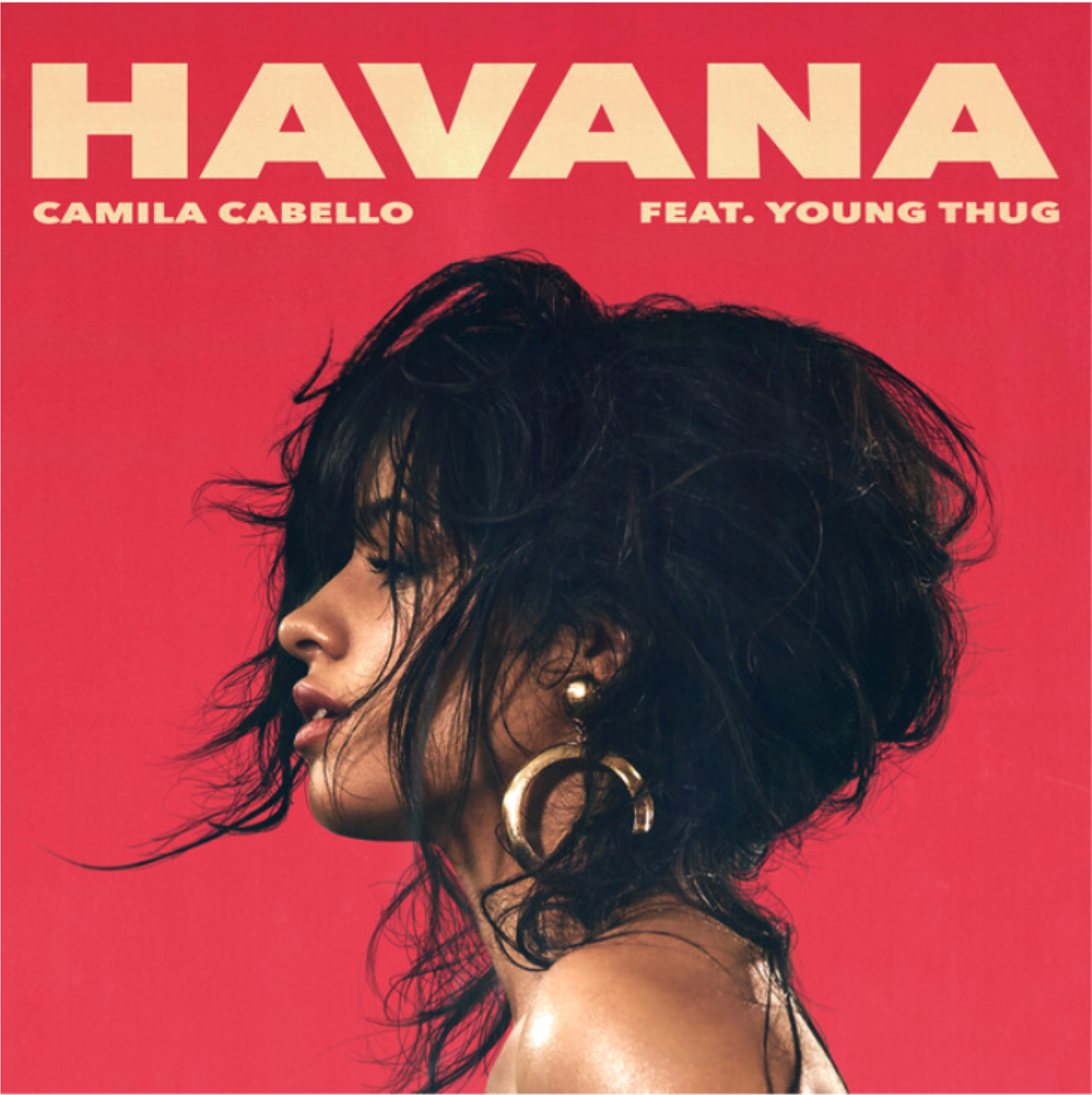 Model Image Graphic Image - Havana Camila Cabello (2199x4487), Png Download