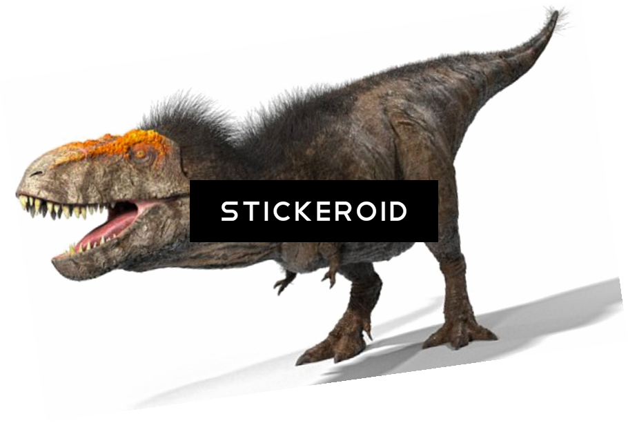 T Rex Animals Dinosaur Reptile - Tyrannosaurus (910x613), Png Download