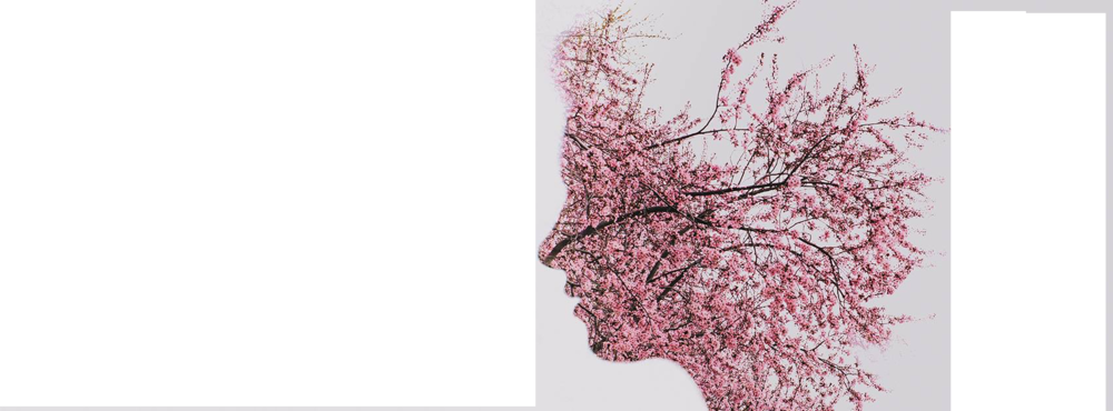 Banner (1000x370), Png Download