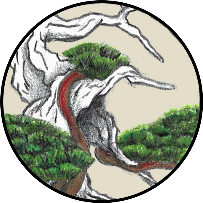 Sbs Logo 4 - Wasilla (940x950), Png Download
