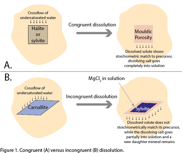 More Than A Century Ago, Van't Hoff Suggested That - Diagram (827x539), Png Download