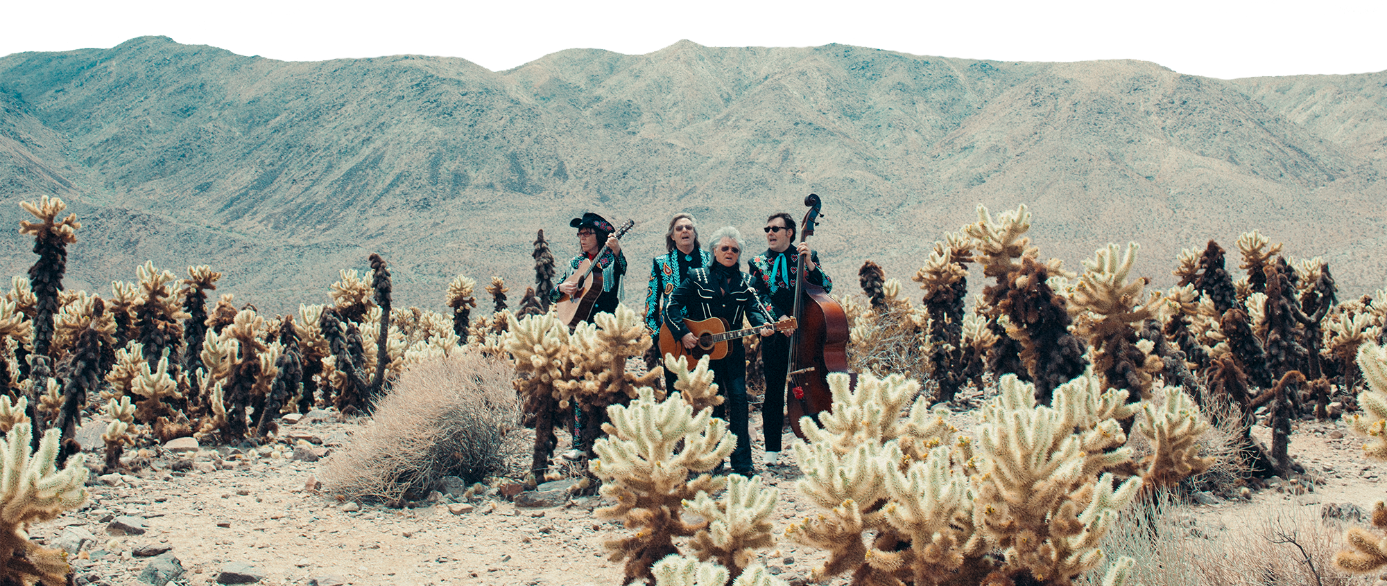 Grammy Award-winning Americana Legend Marty Stuart - Jumping Cholla (2000x846), Png Download