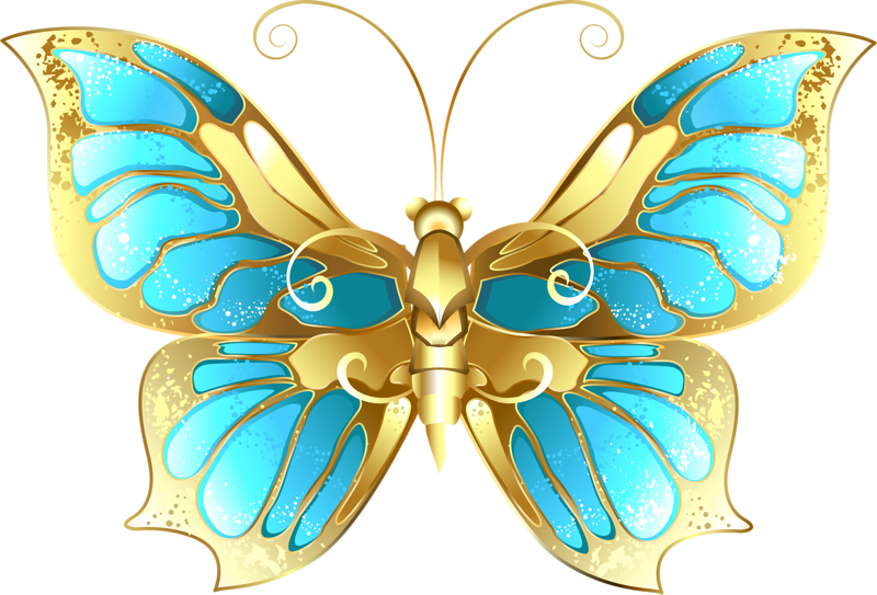 ‿✿⁀butterflies‿✿⁀ (800x543), Png Download