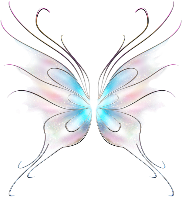 On Butterfly Wings English - Information About Butterfly (800x800), Png Download