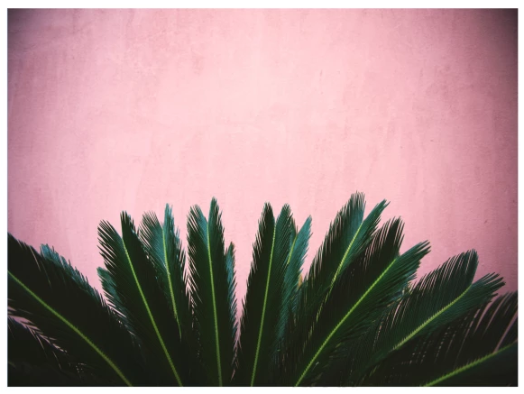 Canvas Wall Art - Fuimos Amor (580x580), Png Download