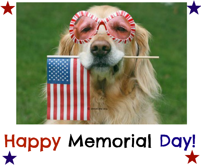 Org Toll Free 866 981 2251 E Mail Info@grrand - Dog (706x600), Png Download