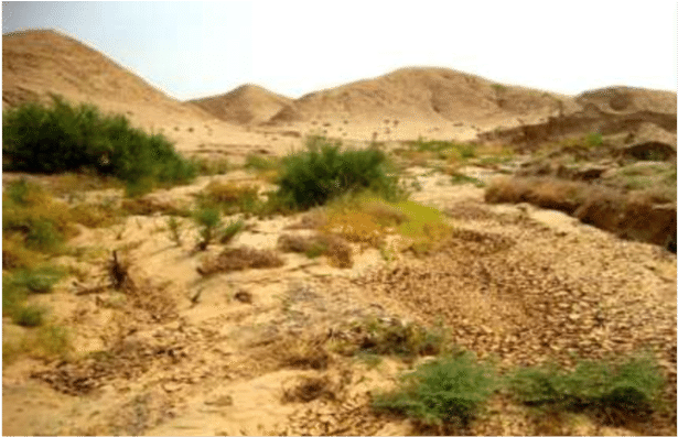 The Hilly Region In Iraq, Photo By Mudhafar Salim, - Key Biodiversity Areas Of Iraq: Priority Sites (850x432), Png Download