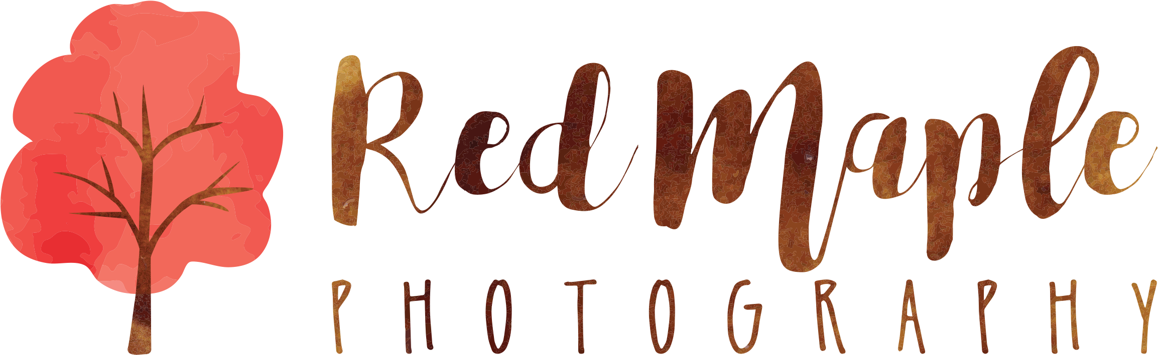 Red Maple Photography (2400x904), Png Download