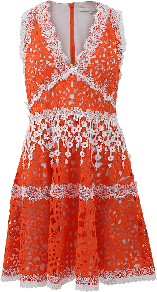 Alexis Bridget Lace Dress - Day Dress (960x1223), Png Download
