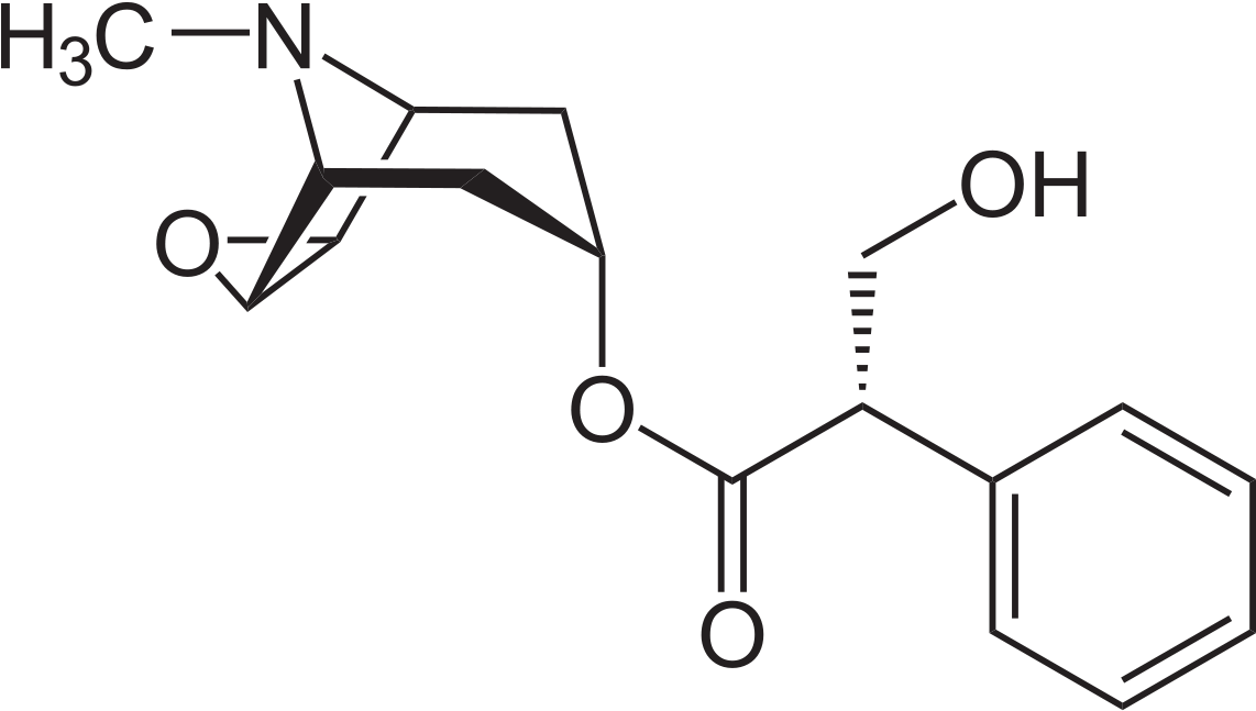 L Scopolamin (1200x678), Png Download