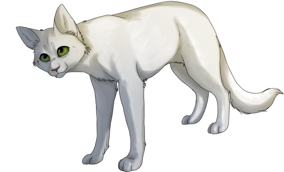Halfmoon - Half Moon Warriors Transparent (1025x780), Png Download