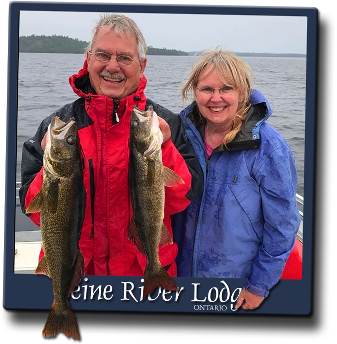 Some Of Our Best Action All Summer Comes In October - Walleye Fishing (679x693), Png Download