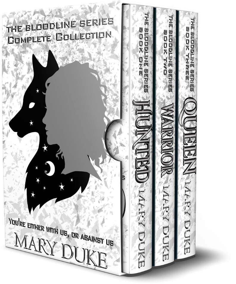 Narah - Boston Terrier (1600x1066), Png Download