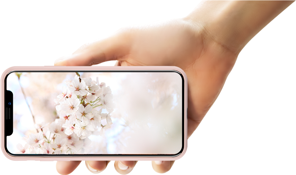 Perfect Combination Of The Silky Soft Touch Feeling - Cherry Blossom (1200x600), Png Download