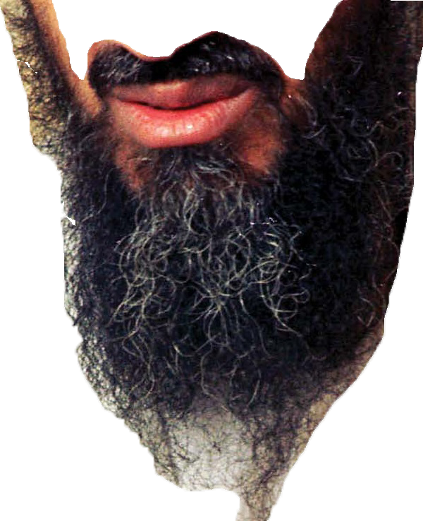 Load 3 More Imagesgrid View - Osama Bin Laden Memes (600x738), Png Download