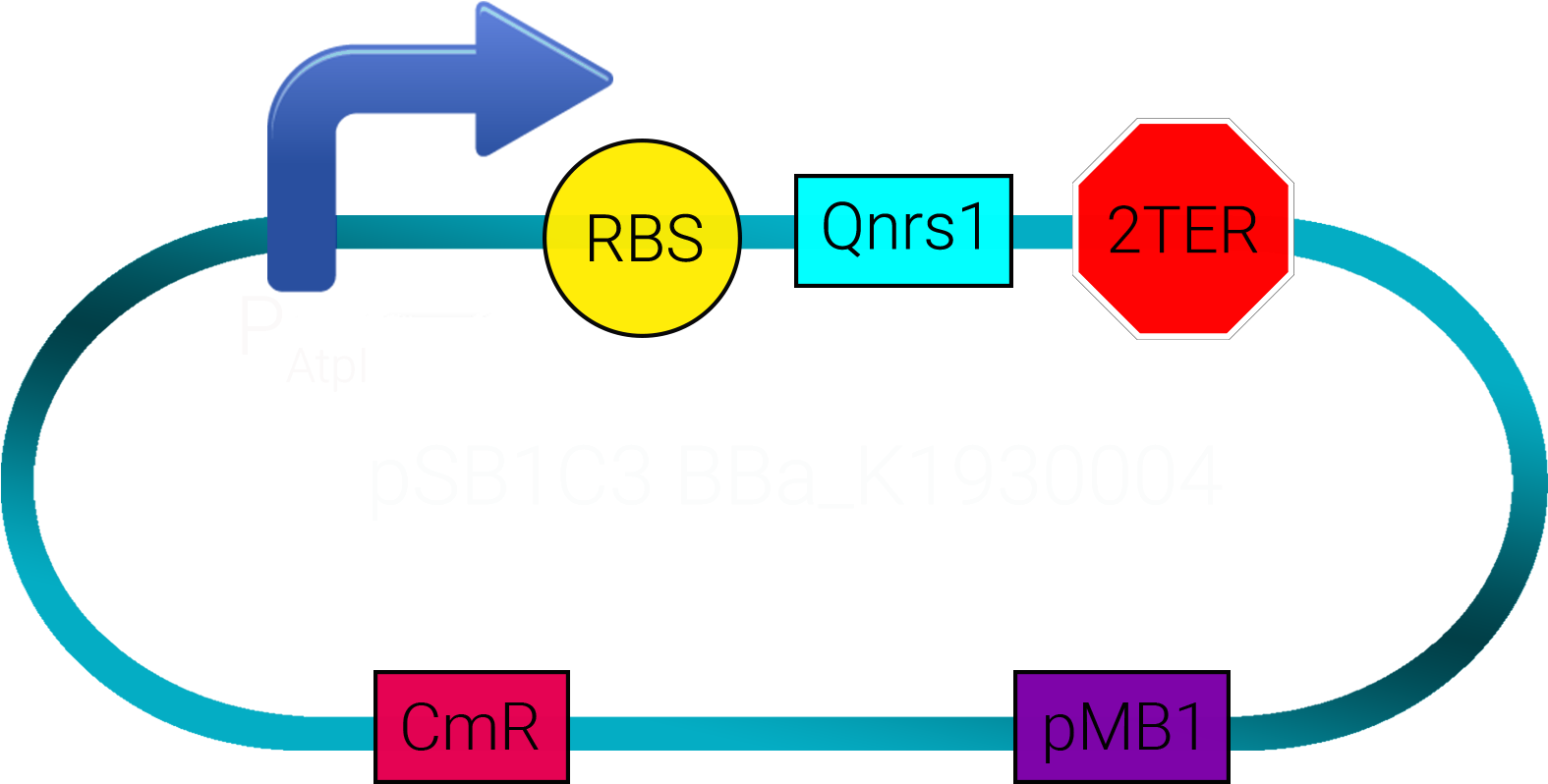 Double Terminator From Igem As Well As The Prefix And - Business Administration (2362x1181), Png Download
