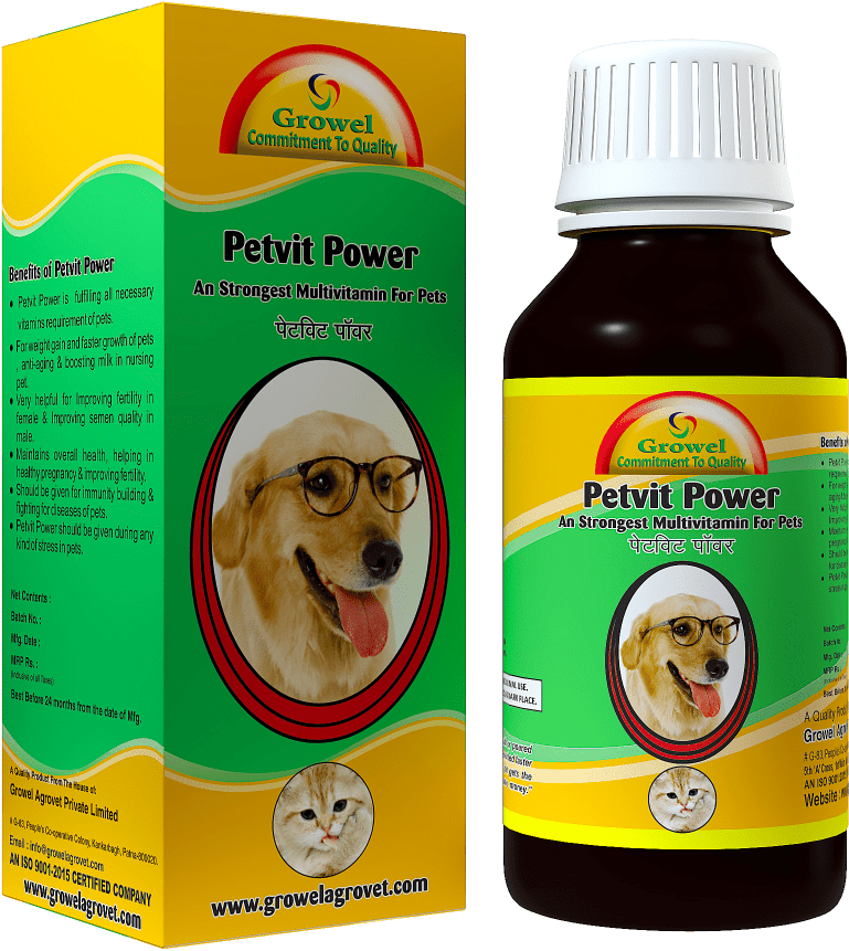 Multivitamin For Dog & Cat - Golden Retriever Dog With Glasses Birthday Greeting (777x865), Png Download