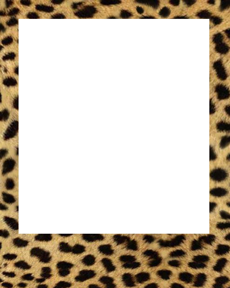 Baby Polaroid Frames Png (768x960), Png Download