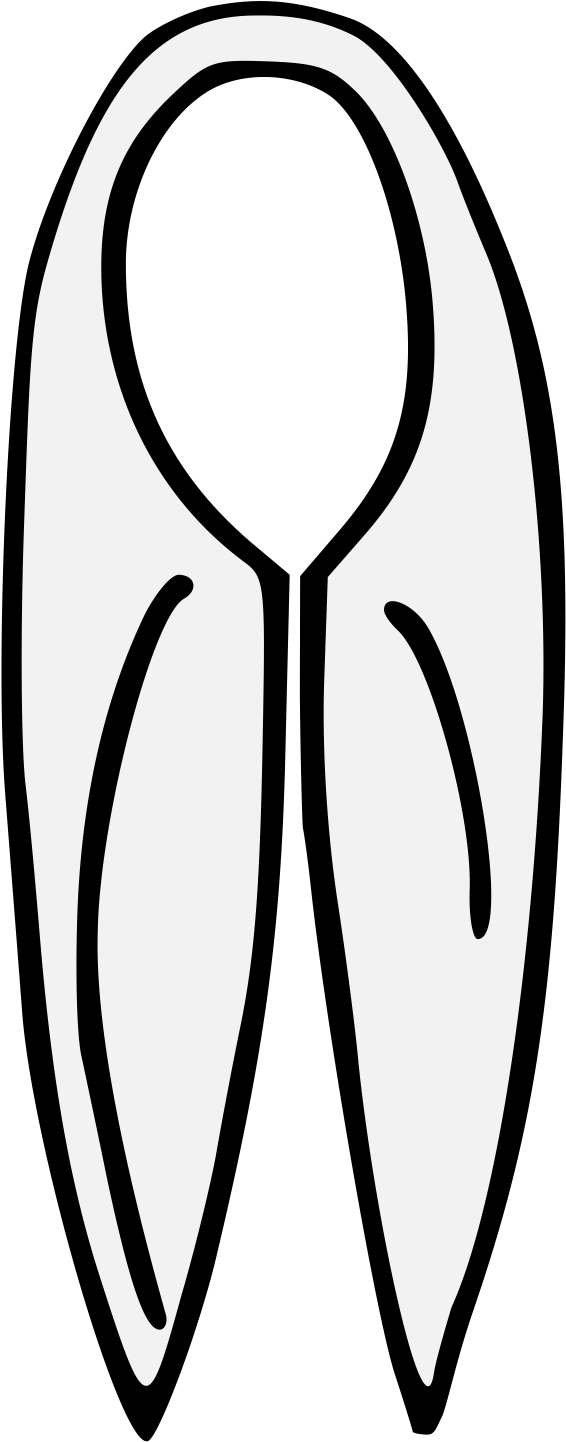 Details, Png (599x1465), Png Download