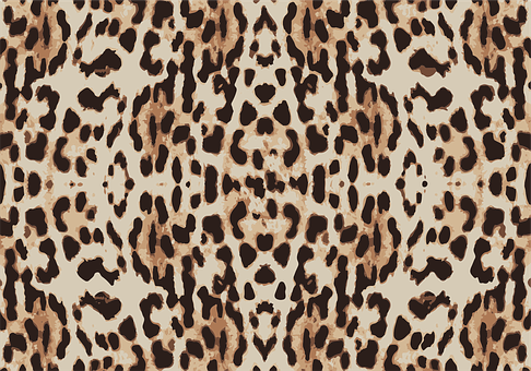 Download Pattern Leopard Skin Background Texture Fa Leopard Pattern Full Size Png Image Pngkit
