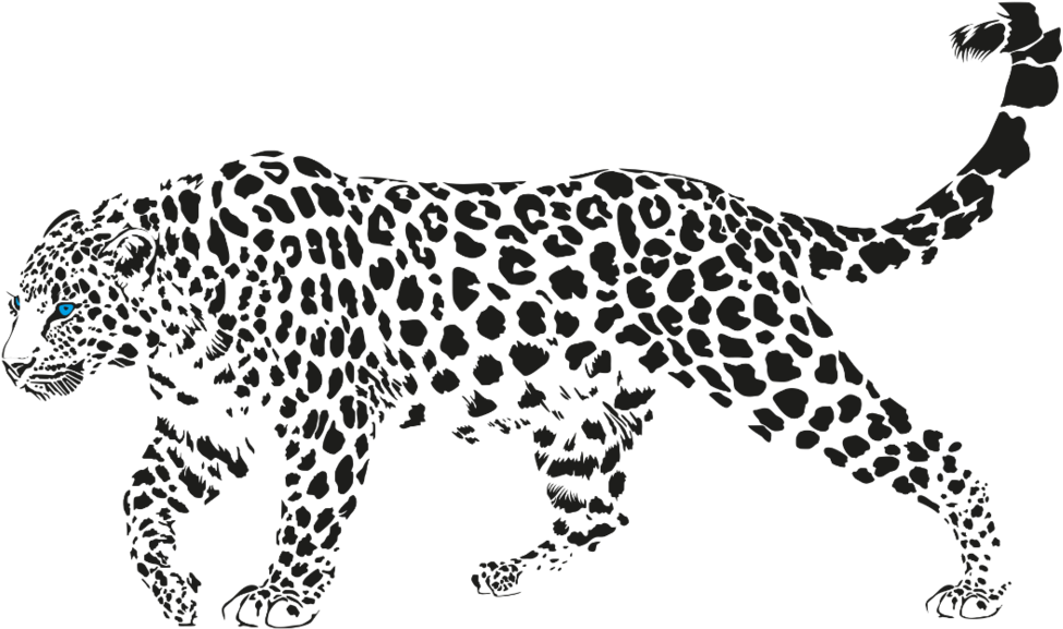 Blue Leopard - Leopard Laying Down Vector (1000x611), Png Download