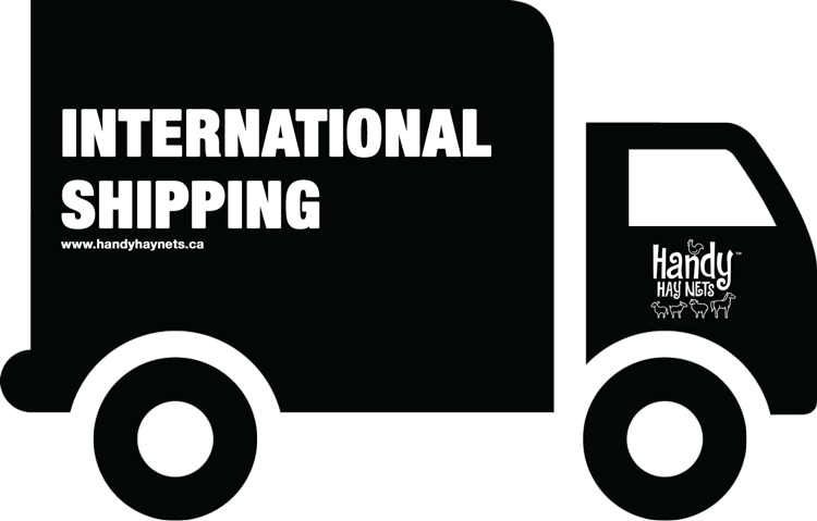 Hhn International Shipping (750x479), Png Download