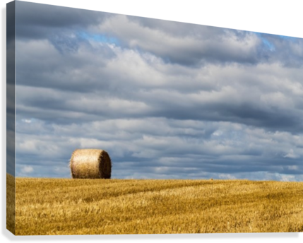 A Single Hay Bale On A Cut Field Under A Cloudy Sky - Posterazzi A Single Hay Bale On A Cut Field Under A (429x344), Png Download