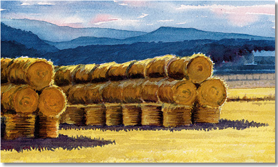 Original Traditional Watercolors By Gregory Effinger - Watercolor Painting (570x576), Png Download