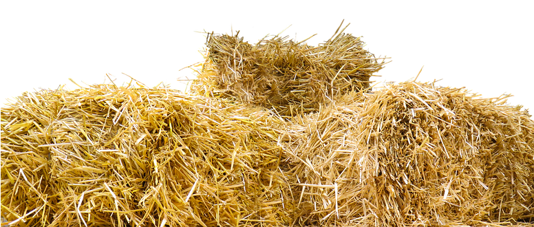 Straw Straw Bales Isolated Agriculture Har - Bale Of Hay Png (775x340), Png Download