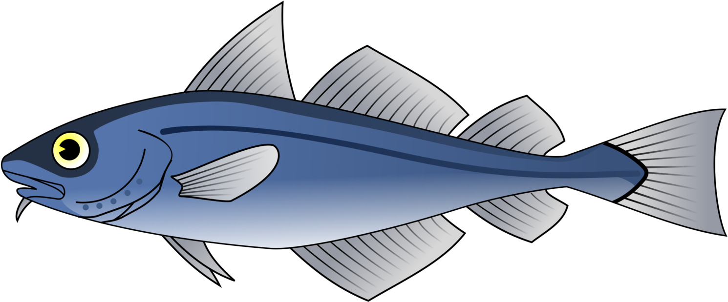 Atlantic Cod Whitefish Boreogadus Saida - Custom Blue Fish Shower Curtain (1594x750), Png Download