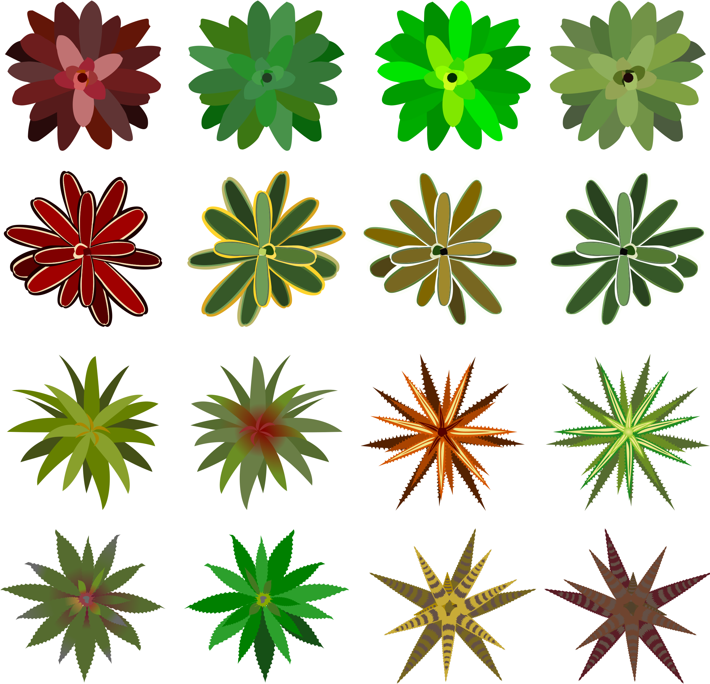 Big Image - Bromelia (2400x2400), Png Download