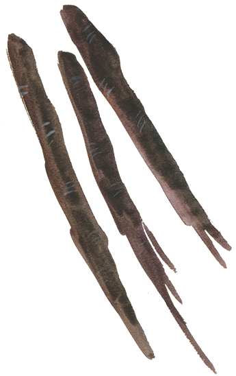 Twig (345x548), Png Download