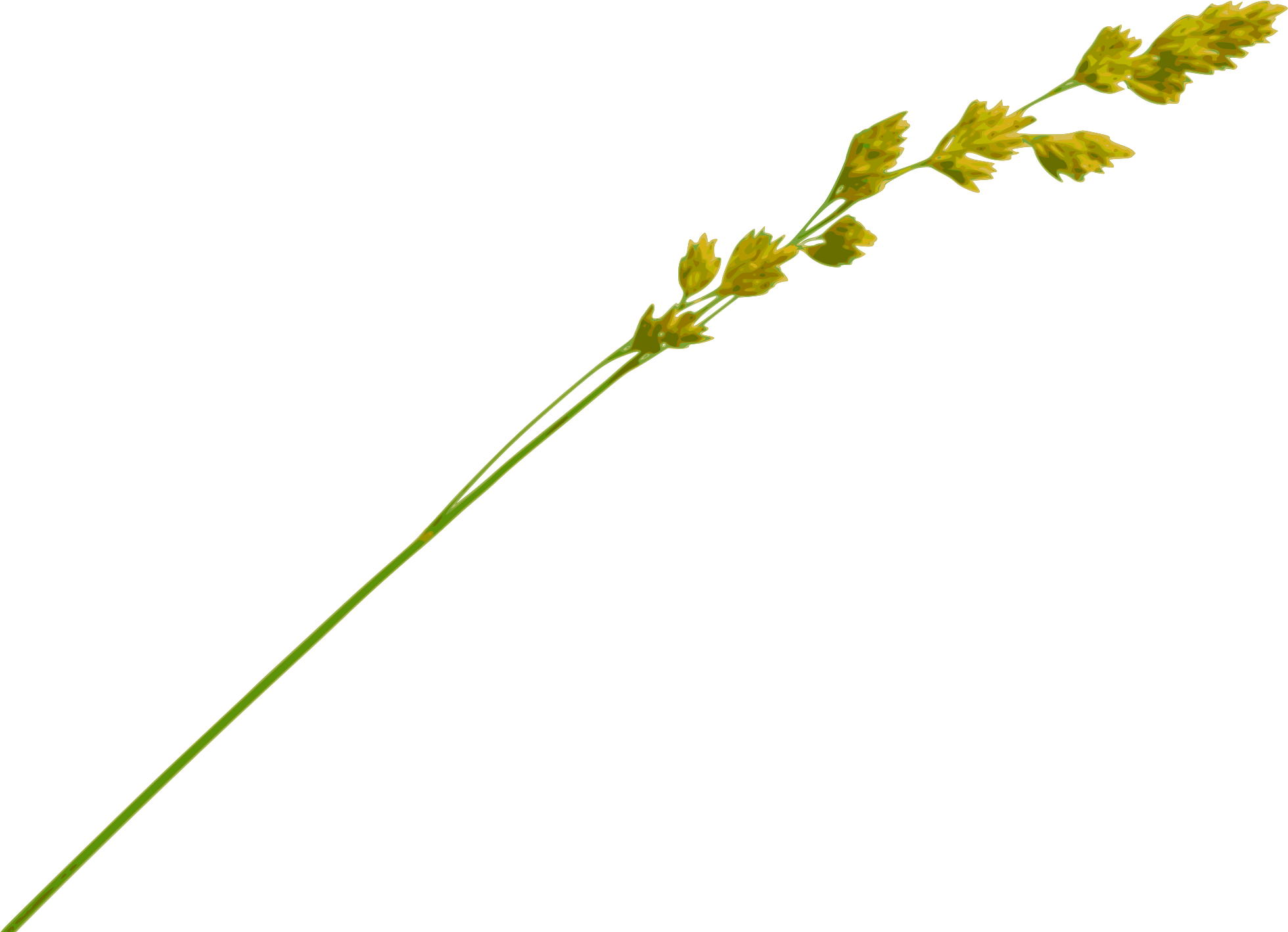 Download Transparent Vector Free Download Hay Straw Clipart Hay Straw