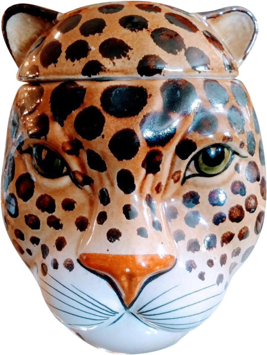 Leopard Face Png Image - Cookie Jar (768x1024), Png Download