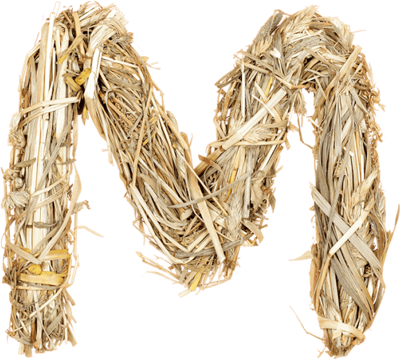 Secure Crops With Handmade Font - Networking Cables (595x595), Png Download