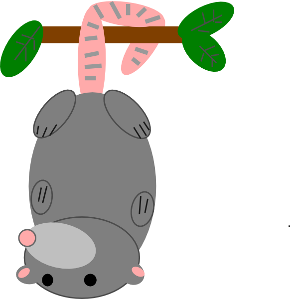 How To Set Use Possum Clipart (582x600), Png Download
